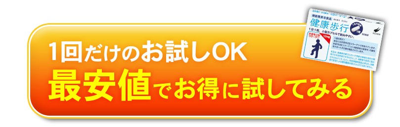 1回だけのお試しOK　今だけ80％OFFで試せる！